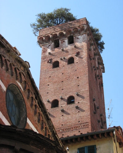 Foto Lucca: Torre Guinigi