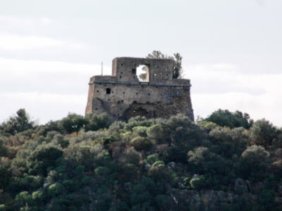 Foto Diamante: Torre dell'Isola di Cirella