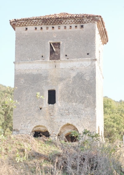 Foto Santa Maria del Cedro: Torre di Sant'Andrea